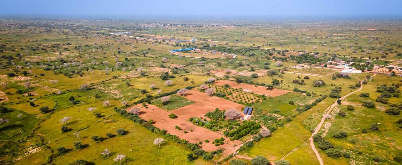 Planned for construction and implementation over 5 years, Senegal's Agropole Nord will help to sustainably increase household incomes and food security.