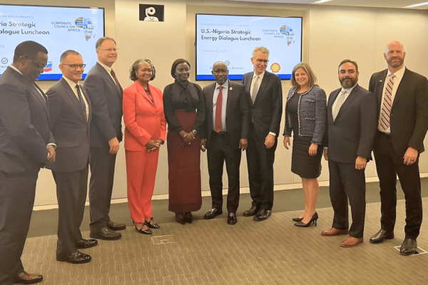 Special Adviser to the President on Energy, Olu Verheijen (5th from left); Minister of State for Petroleum Resources (Gas), Hon Ekperikpe Ekpo (5th from right) in a group photograph with members of the U.S. – Nigeria Energy Security Dialogue held in Washington, DC. On Tuesday.