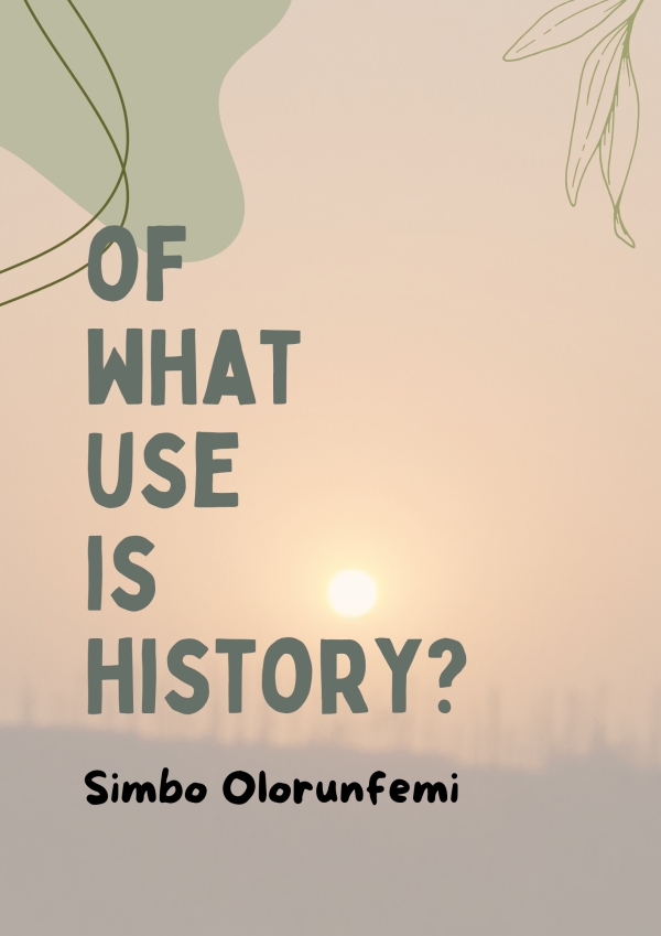 Of What Use is History